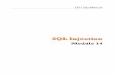 Ceh v8 labs module 14 sql injection
