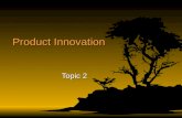 Topic 2 Innovation
