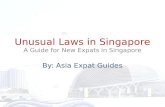 Asia Expat Guides: Unusual Laws in Singapore
