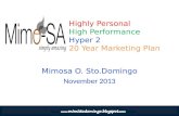 20 Year Marketing Plan of Mimo-S.A.(Simply Amazing) Sto Domingo