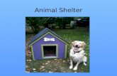 Animals Shelter