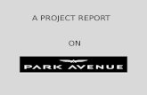 Park avenue project report