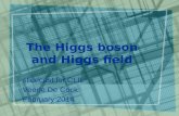 The Higgs boson and Higgs field