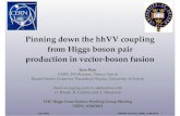Pinning down the hhVV coupling  from Higgs boson pair  production in vector-boson fusion