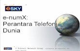 E-sky - e-NumX Presentation ( Malay)