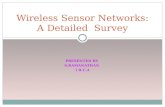 Wireless sensor-networks