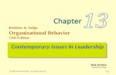 Robbins organization behaviour 13-chapter 13