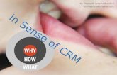 Why What How in Sense of CRM