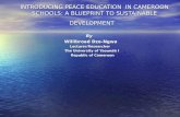 Introducing Peace Education  In Cameroon Schools