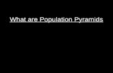 L2 ap population pyramids