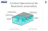 Control Operacional de Reactores anaerobios Ing. Pedro E. Ortiz B. Noviembre 2013.