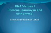 36. rna virus i (picorna, paramyxo and orthomyxo)