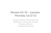 Viruses ch 19 – lecture monday 12 2-13