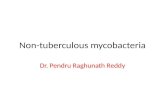 Non tuberculous mycobacteria