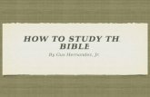 How to study the bible and lead a bible study