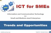 IT for SMEs: Trends and Opportunities - ICT for Small Business, SMBs