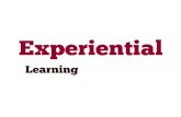 What is Experiential Learning
