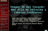 Imagen 3D del Corazón: Más Allá de Válvulas y Cámaras Cardiacas Carlos Marín Rodríguez a, Manuel González Leyte a, Ramon Godoy Maza a, Yolanda Ruiz Martín.