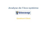 Analyse de lâ€™©co syst¨me biocoop- quadrant client