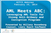 AML Meets ABC Webinar Deck 2-19-14