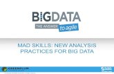 Mad skills new analysis practices for big data