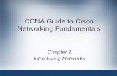 CCNA Introducing Networks
