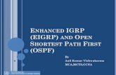 Day 3 ENHANCED IGRP (EIGRP) AND OPEN SHORTEST PATH FIRST (OSPF)