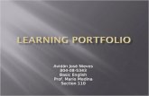 Learning Portfolio 1