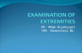 Examination Of Extremities