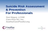 Suicide risk assessment webinar slides