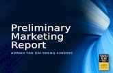Preliminary marketing report