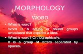 Morphology web