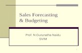 Forecasting and budgeting