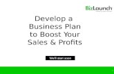 Develop a business plan to boost your sales and profits