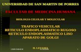 USMP-FMH-BCMH. LEZAMA1 UNIVERSIDAD DE SAN MARTIN DE PORRES FACULTAD DE MEDICINA HUMANA BIOLOGIA CELULAR Y MOLECULAR TRAFICO VESICULAR RETICULO ENDOPLASMATICO.