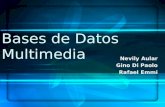 Bases de Datos Multimedia Nevily Aular Gino Di Paolo Rafael Emmi.