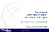 1 Copyright © 2002 ACNielsen Panorama Latinoamericano de la Marca Propia Hotel Sheraton, María Isabel México, 20 de febrero 2002.