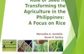 The seed sector in the Philippines - Mercy Sombilla