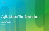 Agile Enterprise Partnerships