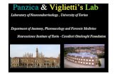 Panzica & Viglietti's Lab