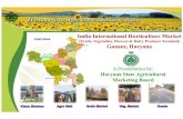 Presentation india international horticulture market