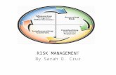 Risk Management (Sarah Olivarez-Cruz)