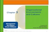 Chapter 3 Organizational Environments and Cultures