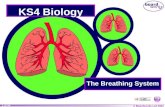 Ks4 the breathing system (boardworks)