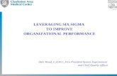 Leveraging Six Sigma to Improve Organizational Performance
