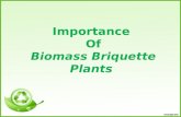 Importance of biomass briquetting plants