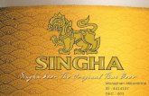 BM4825 - Physical Distribution of Singha Beer