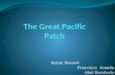 The great pacific patch