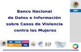 SSP Banco Nacional de Datos e Información sobre Casos de Violencia contra las Mujeres Mecanismos para el adelanto de las mujeres en las Entidades Federativas.