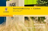 The Chief Financial Officer + Sustainability + Carbon